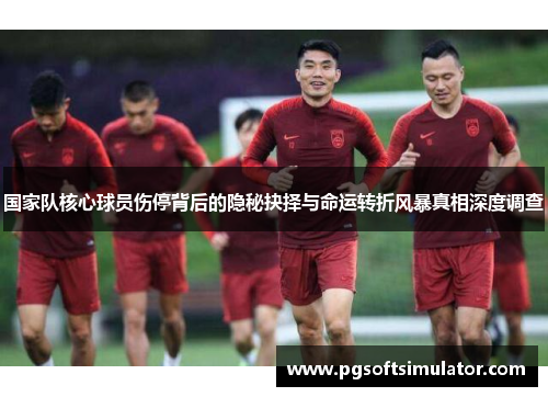 国家队核心球员伤停背后的隐秘抉择与命运转折风暴真相深度调查