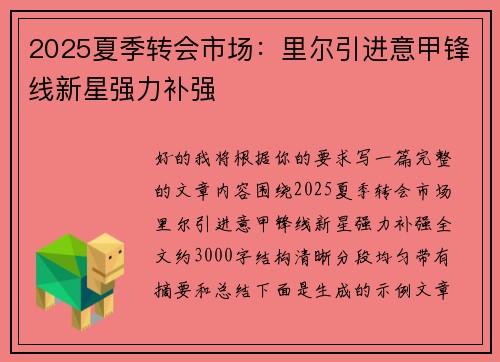 2025夏季转会市场：里尔引进意甲锋线新星强力补强