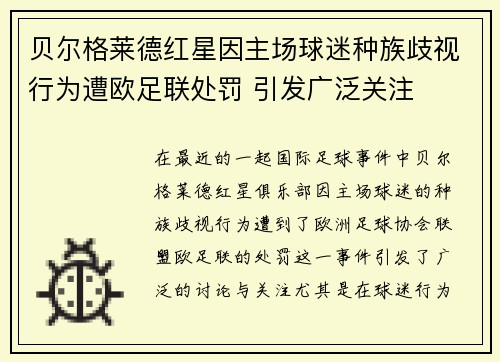 贝尔格莱德红星因主场球迷种族歧视行为遭欧足联处罚 引发广泛关注