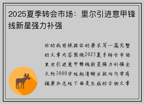 2025夏季转会市场：里尔引进意甲锋线新星强力补强